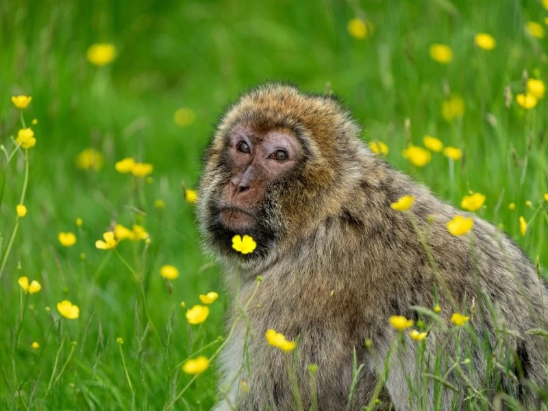 DSC06700 1400X933 800X600