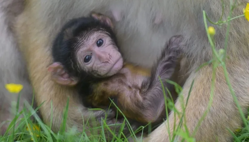 DSC 7458 1400X933 1024X585