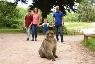 Trentham Monkey Forest 1000X668