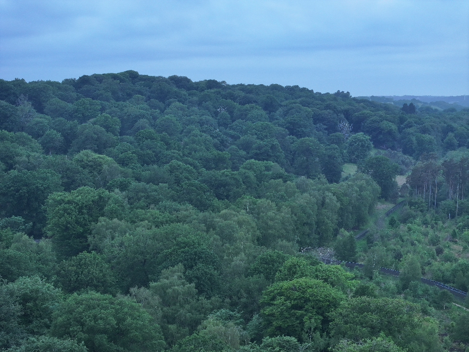 DJI 20250519053634 0017 D