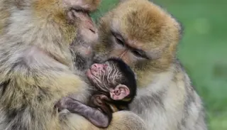 DSC 5837 1 1400X933 1024X585