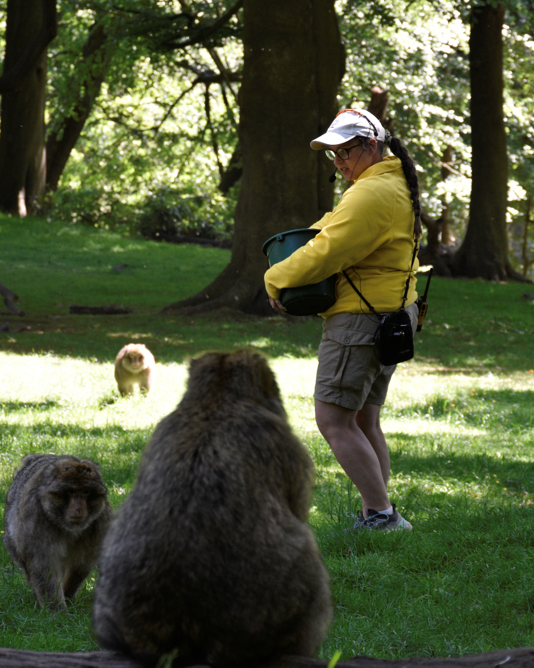 Web Mobile Sliders (5)