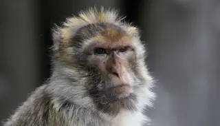 DSC7613 1400X933 1024X585