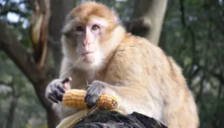 Untitled Design 10 1400X933 1024X585