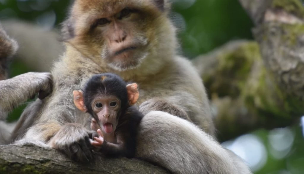 DSC 7700 1400X933 1024X585