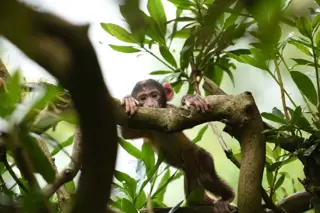 Twitter2 1000X667 (1)