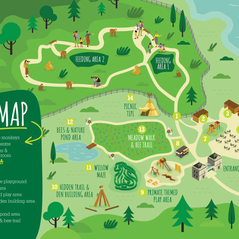 Plan Your Visit | Trentham Monkey Forest