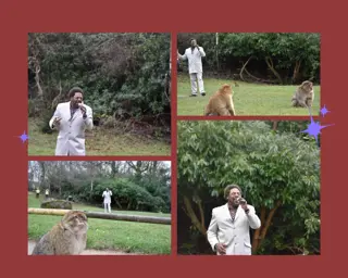 Scarlet Red Simple Valentines Day Photo Collage 1400X1120