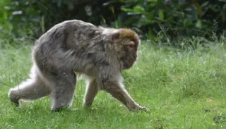 DSC 6992 1400X933 1024X585