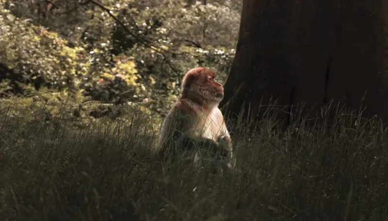 Harry Jackson 5 1050X1400 1024X585