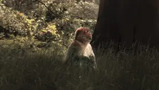 Harry Jackson 5 1050X1400 1024X585