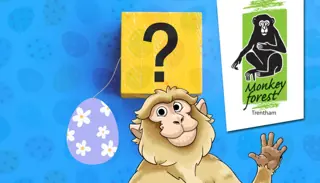 Add A Heading 18 1024X585