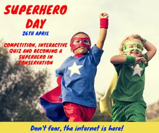 Superhero Day Picture