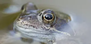 Wildlifetrusts 40579537831