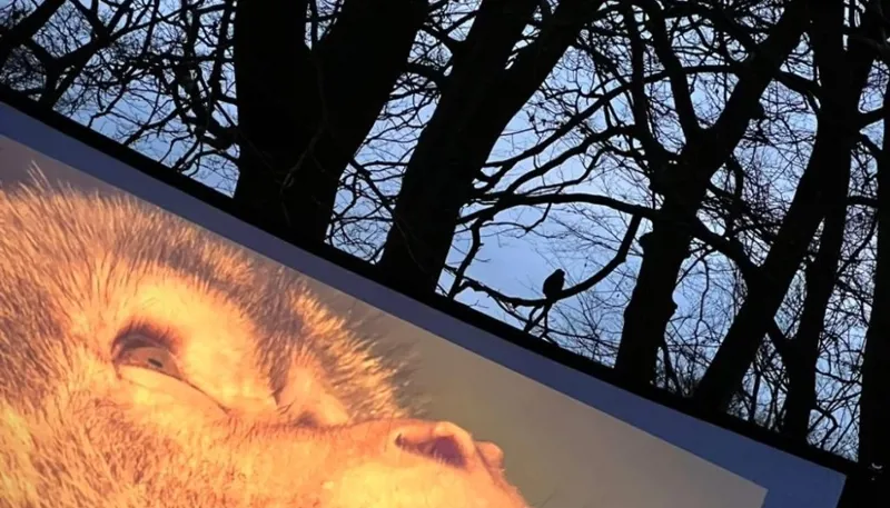 Image00023 1050X1400 1024X585