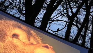 Image00023 1050X1400 1024X585