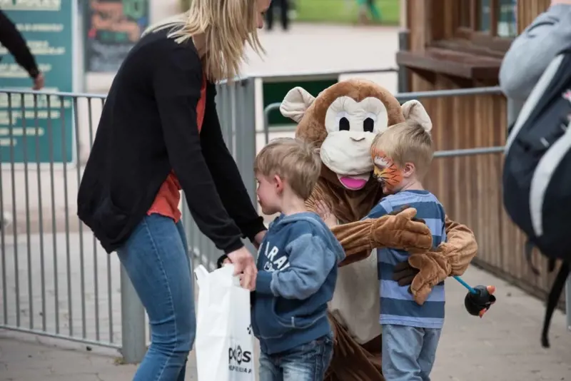 Monkey Forest Opening 1000X667