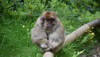 DSC 6117 1400X933 1024X585