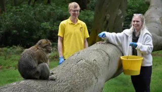 Best 14 1400X933 1024X585