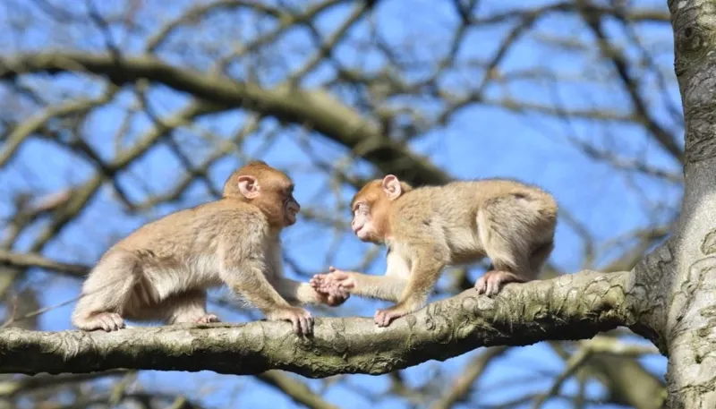 DSC 2258 1400X933 1024X585