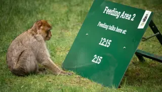 Screenshot 2021 06 17 101155 1024X585