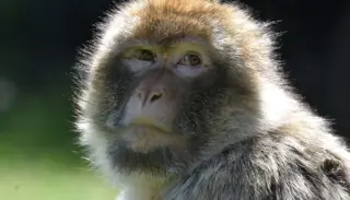 DSC6330 1 1400X933 1024X585