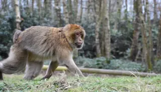 RTE7UCM 1400X933 1024X585