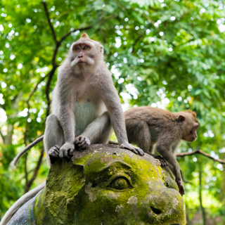 Indonesia (2)