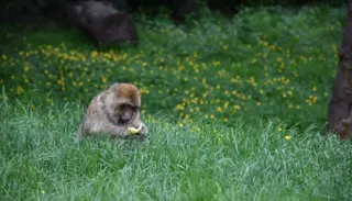 DSC 6352 1400X933 1024X585 (1)