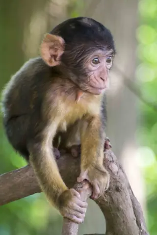 Grahamquinnwebsite 668X1000