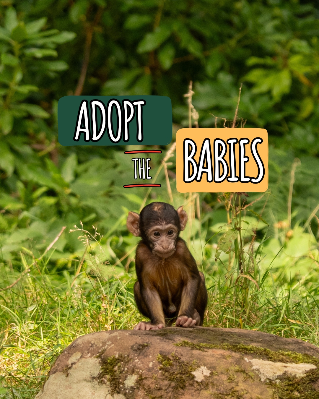 Web Mobile Sliders (3)