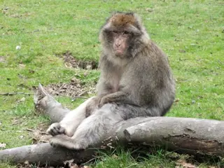 Fortwitter1 1000X750