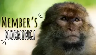 Members 1 1400X933 1024X585 (1)