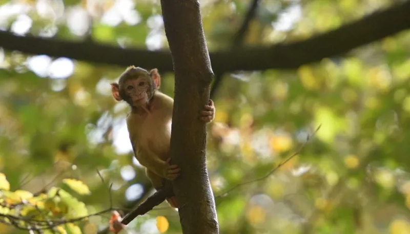 DSC 7325 1400X933 1024X585 (1)