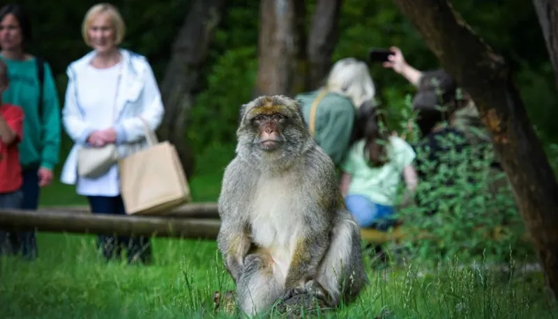 DSC0293 3 1400X933 1024X585