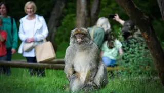 DSC0293 3 1400X933 1024X585