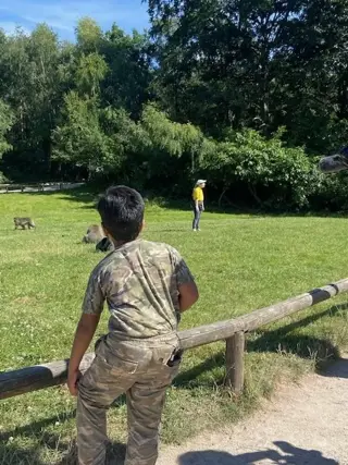 IMG 4307 002 E1657802827215