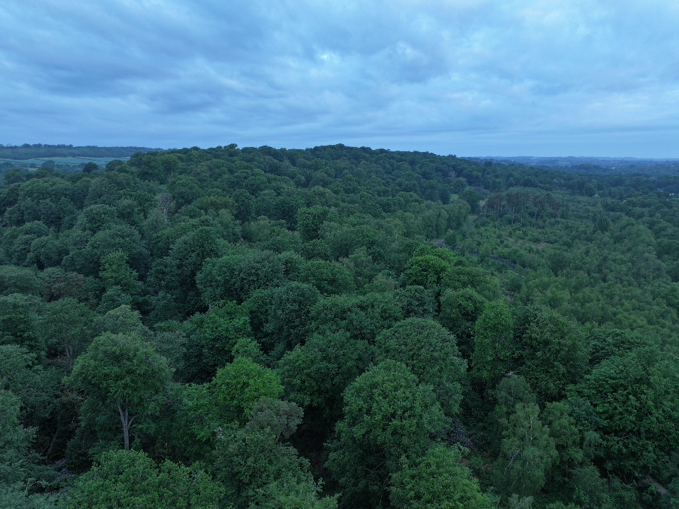 DJI 20250519053559 0006 D