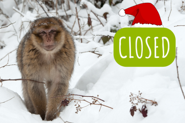 We are currently closed for Winter. We look forward to reuniting you with our amazing Barbary macaque monkeys in February 2023.
