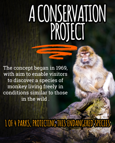 Conservation Proj