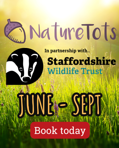 Nature Tots sessions for little ones