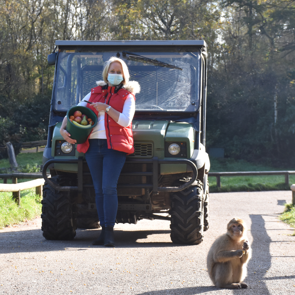 LIMITED AVAILABILITY 
Breakfast with Monkeys VIP Experience is the ULTIMATE primate encounter. Enter the Monkey Forest before opening time and help our guides feed the troops a nutritious breakfast!