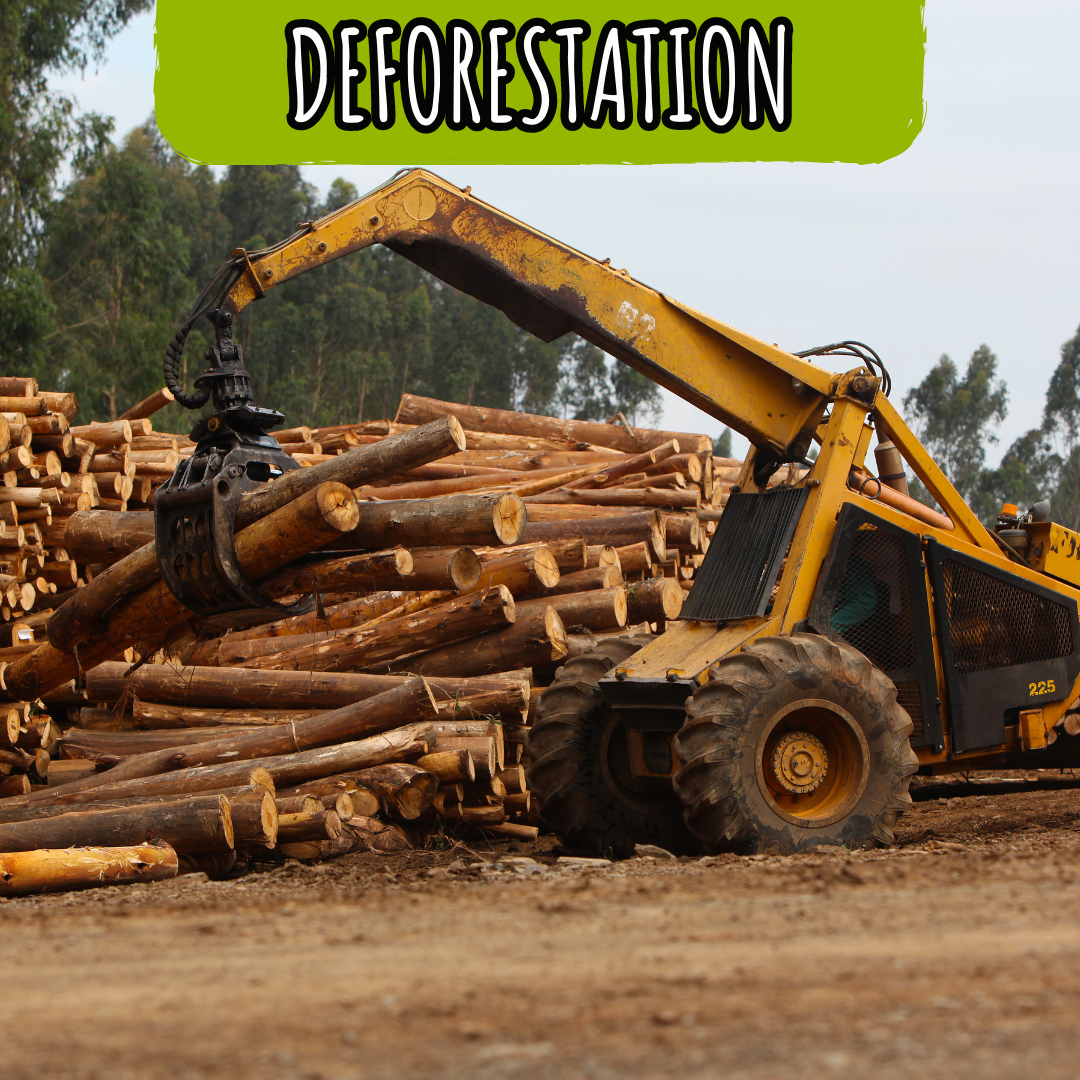 cONSERVATION deforest