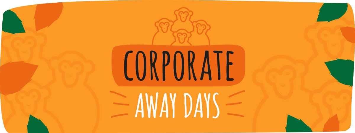 Corporate away days