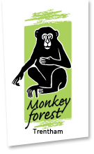 Monkey Forest Trentham