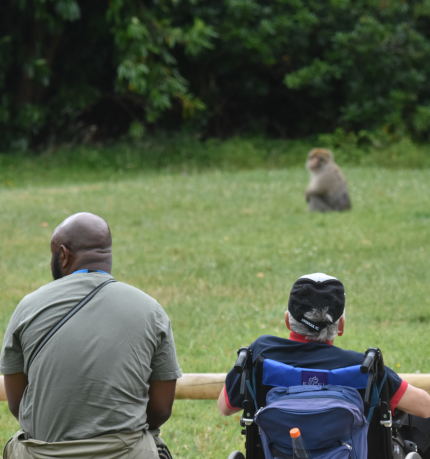 JOIN our troop Become a member of the Monkey Forest family today. Have a year of UNLIMITED visits during seasonal opening times and support the conservation of Barbary macaque monkeys. EXCLUSIVE benefits and events are available for members - don't miss out!